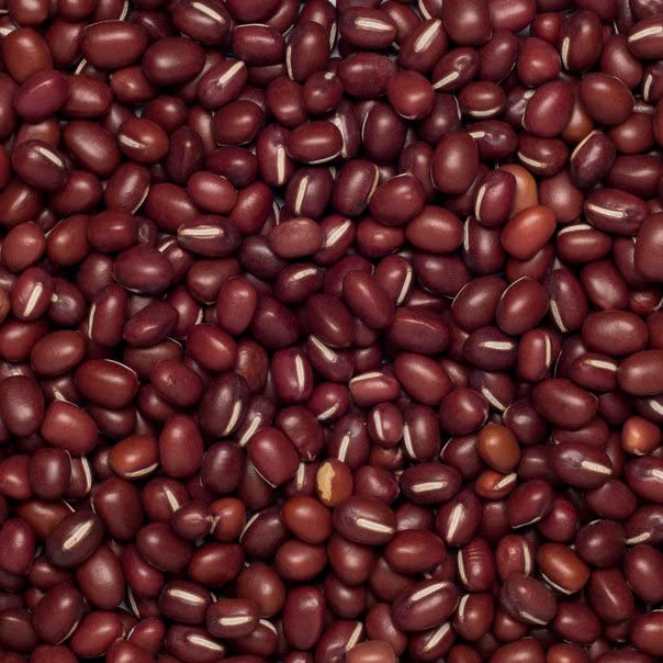 Wholefood Earth Organic Aduki Beans 1kg | Vegan, GMO Free, High Fibre | Certified Organic 2