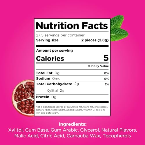PUR - Pomegranate Mint Sugar-Free Chewing Gum (55 Pieces, Pack of 6)