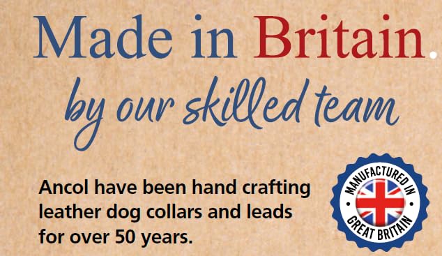 Ancol Timberwolf Leather Dog Collar - Raspberry | 30-34 cm Size | UK Crafted 5