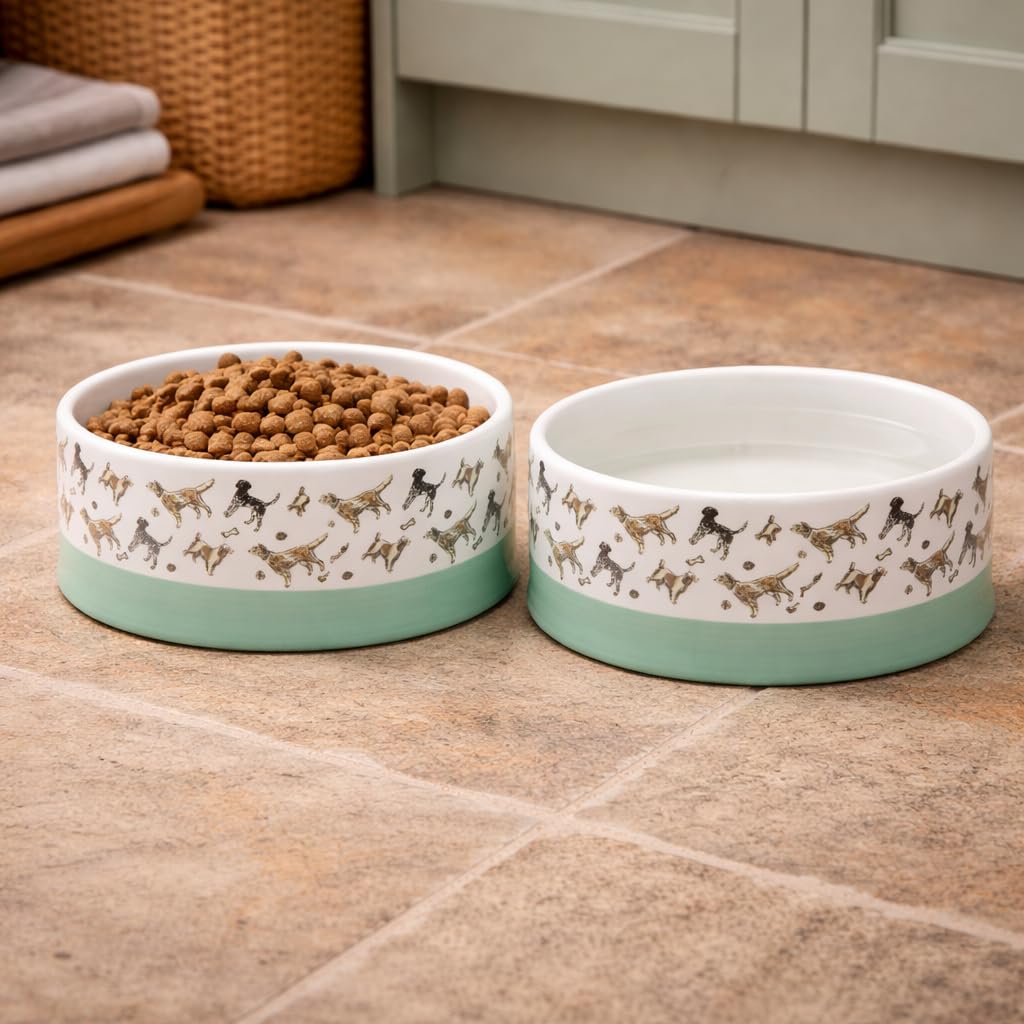 Banbury & Co Ceramic Dog Bowl - 400ml | Blue | Dishwasher Safe 4