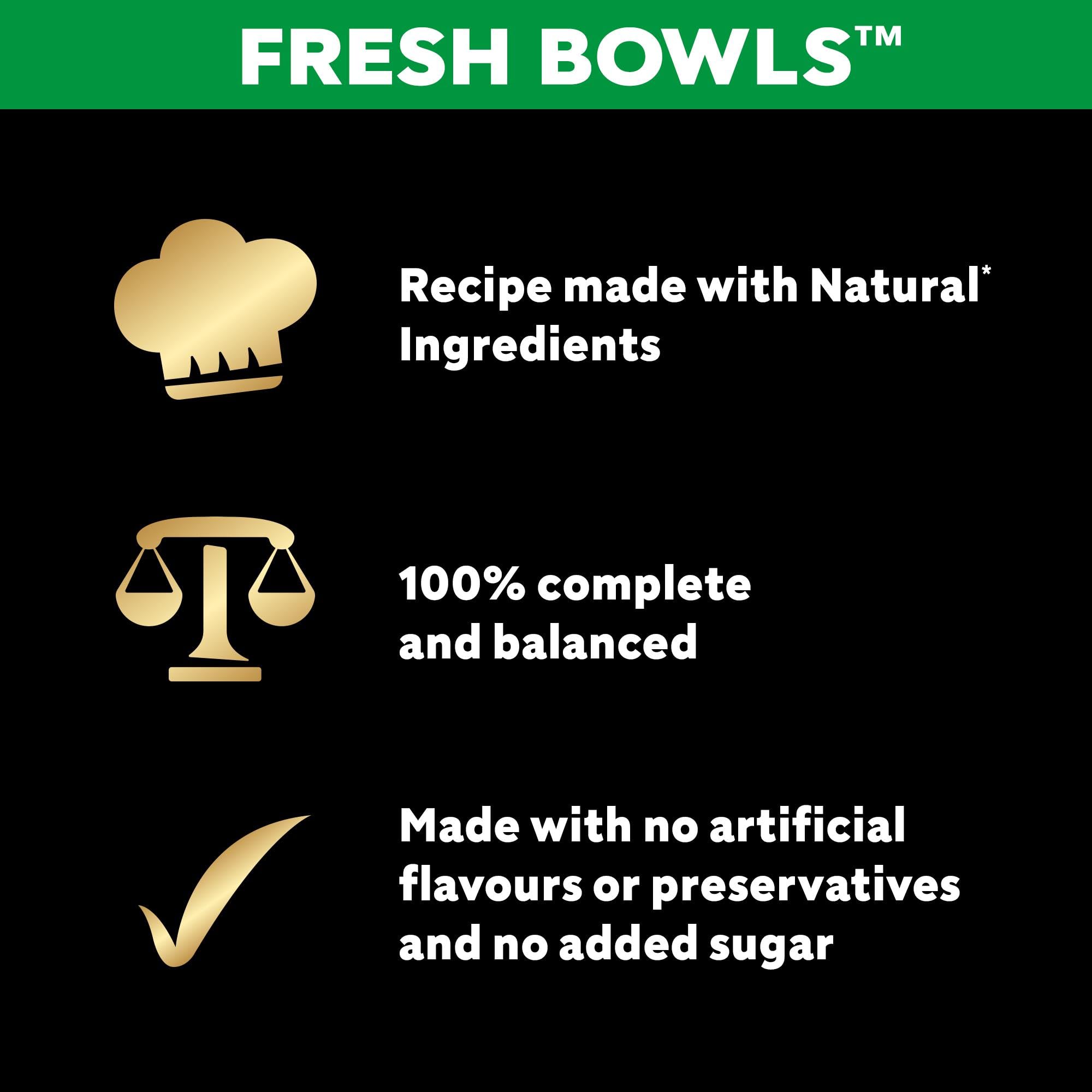 Cesar Fresh Bowl Adult Dog Food Pate with Duck, Red Rice & Vegetables | 85g Trays (Pack of 10) 6