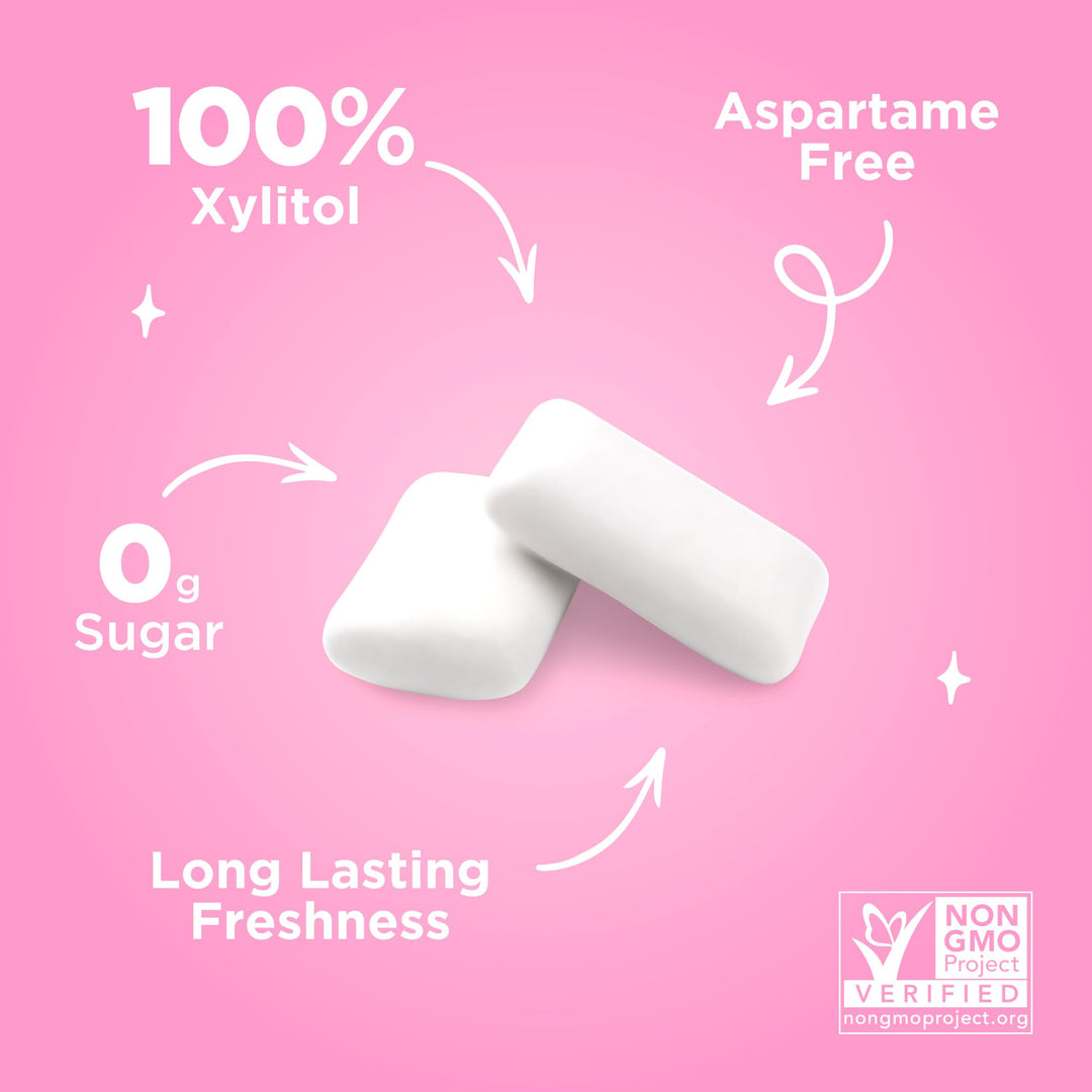 PUR - Natural Bubblegum Flavoured Sugar Free Chewing Gum (55 Pieces, Resealable Pack)