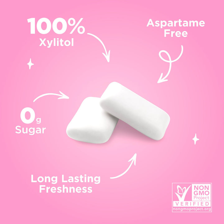 PUR - Natural Bubblegum Flavoured Sugar Free Chewing Gum (55 Pieces, Resealable Pack)