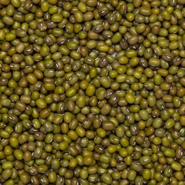 Wholefood Earth Organic Mung Beans 500g | GMO Free | Vegan | High Protein & Fibre | Certified Organic