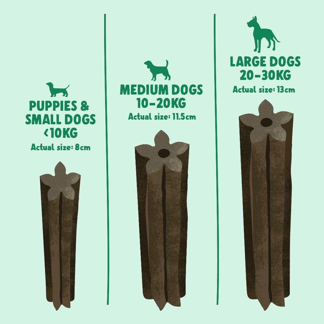 Denzel's Vegan Dog Dental Sticks - Medium Dogs (10-20kg) | Peanut Butter & Peppermint | 28 Pack 3