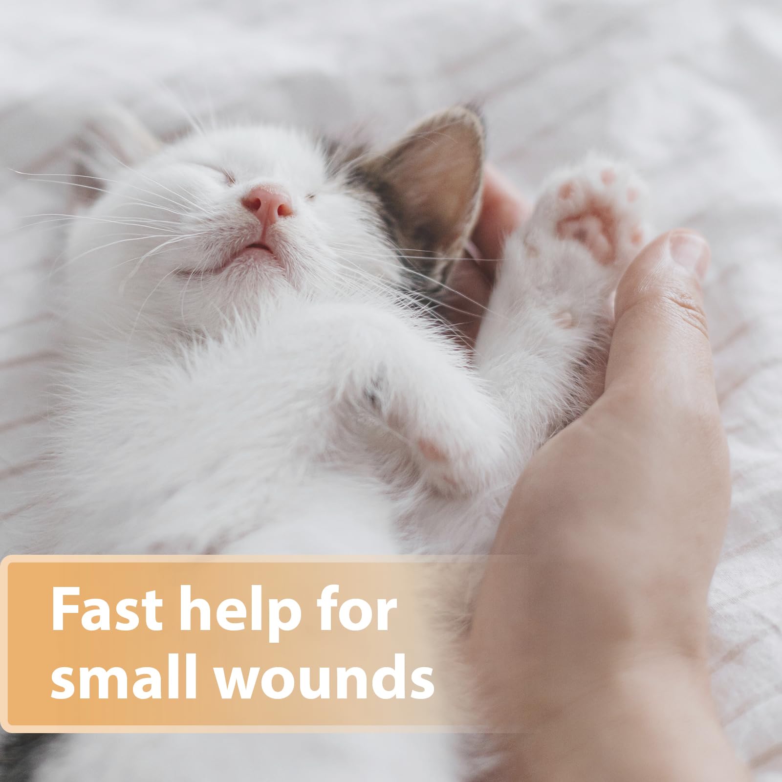 Felisept Wound Spray for Cats - 75ml Antiseptic | Veterinarian Recommended | Made in Germany