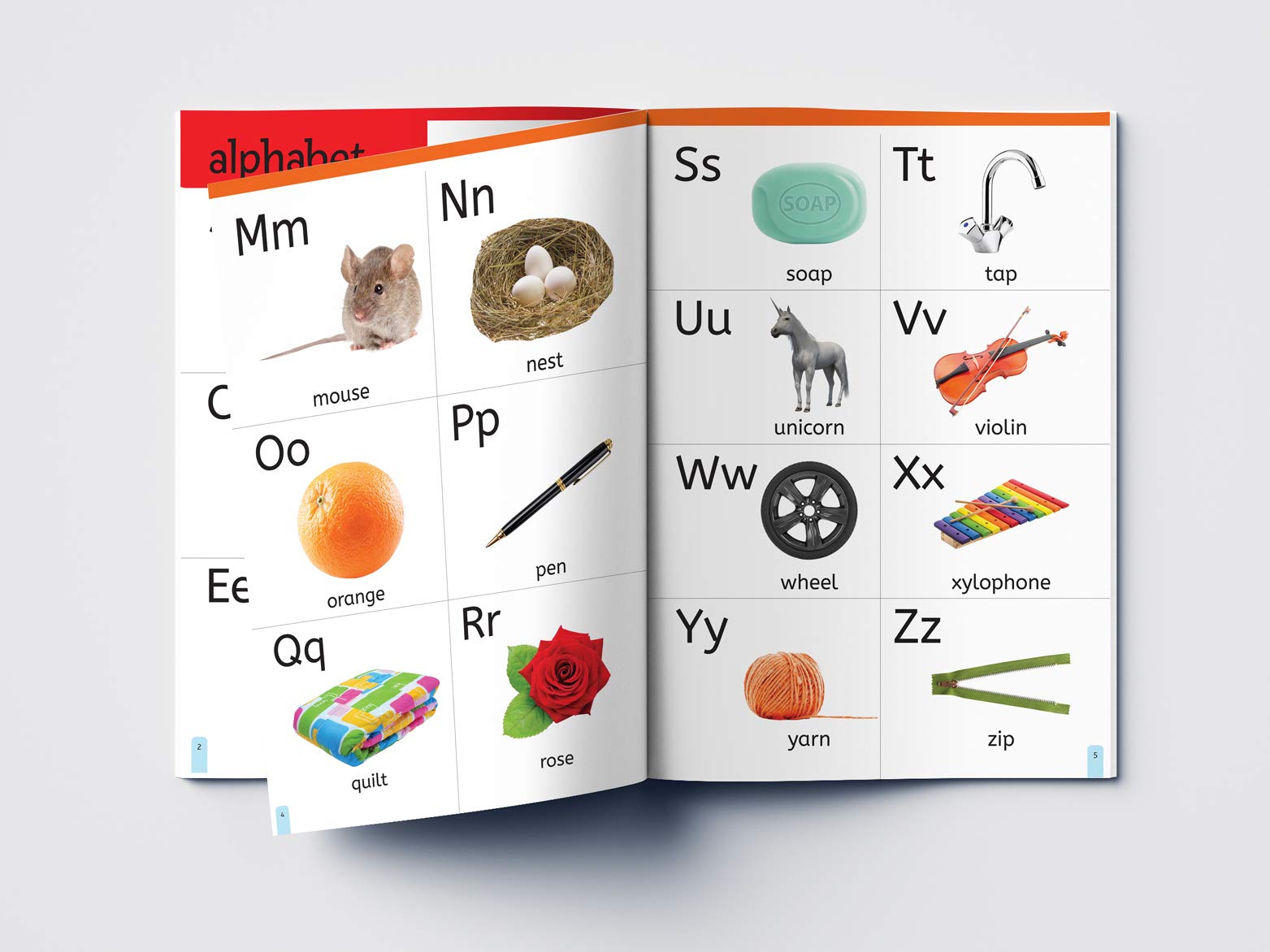 Wonder House My First 1000 Words Early Learning Picture Book | Paperback | English 4
