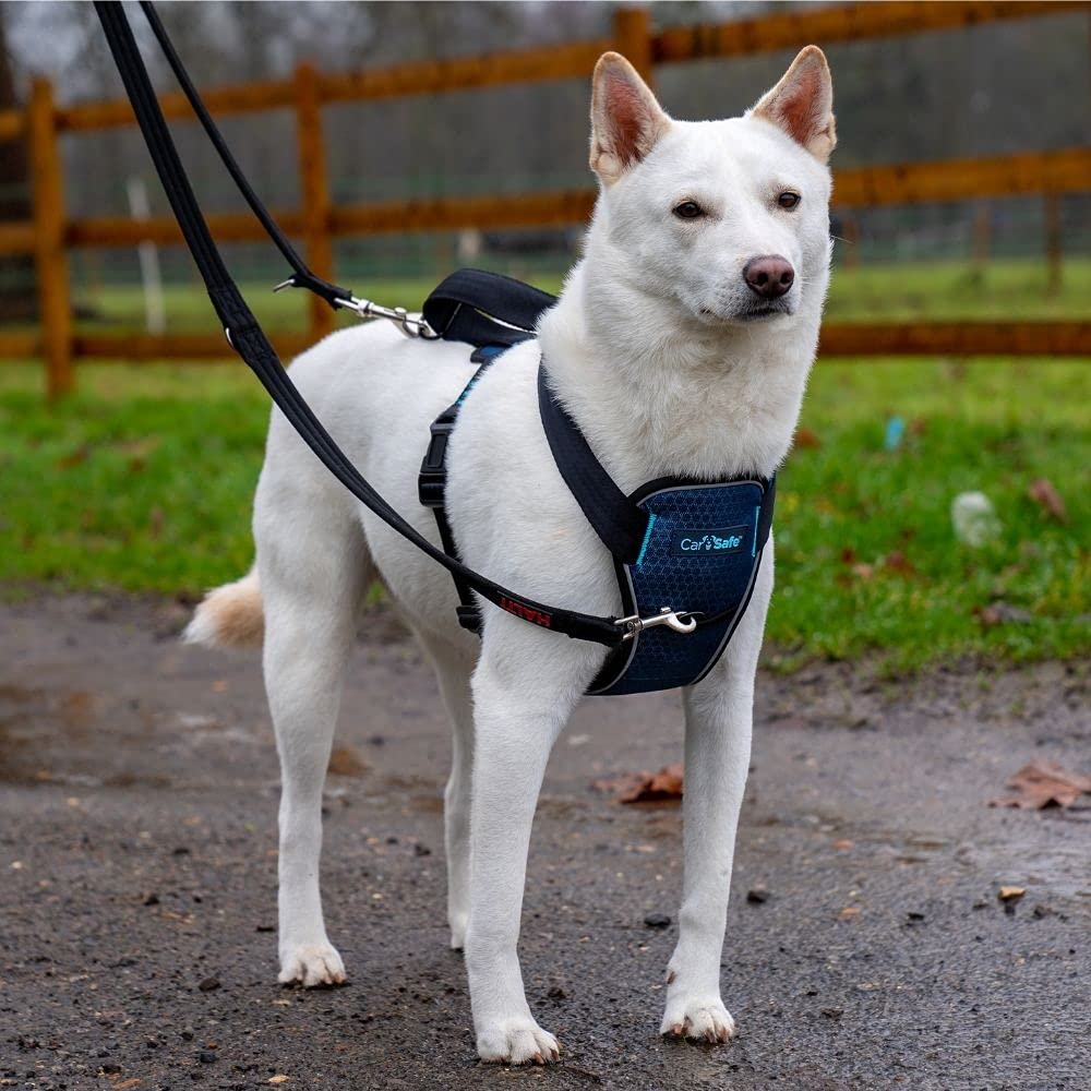 CarSafe Crash Tested Dog Safety Harness - Medium, Blue | Certified up to 32Kg/70lbs 3
