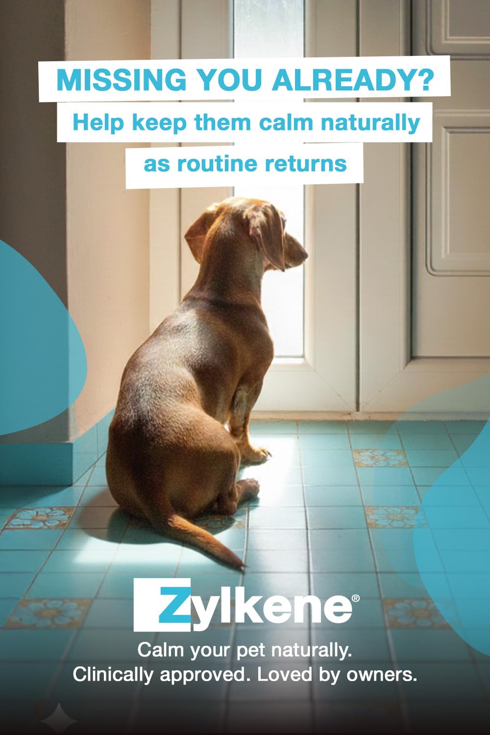 Zylkene Calming Chews for Medium Dogs (10-30kg) - Promotes Relaxation | 14 Chews 3