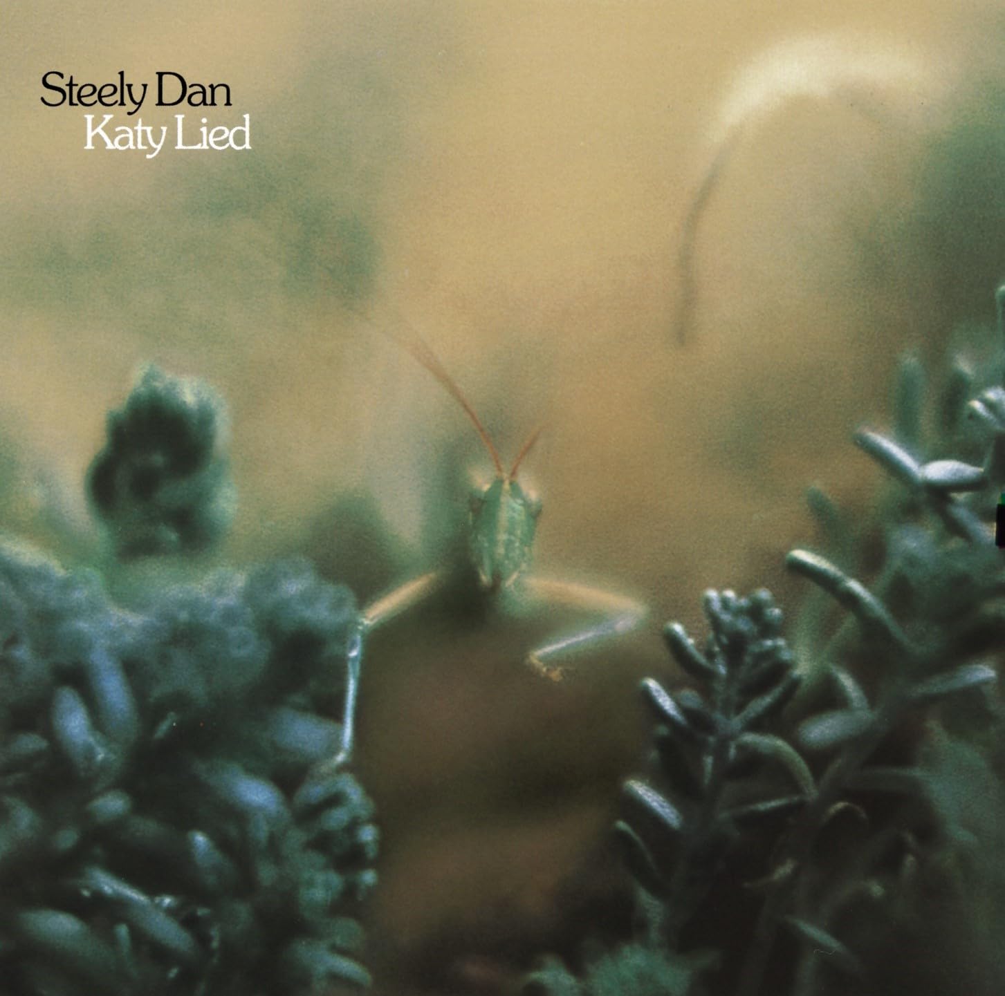 Katy Lied 2