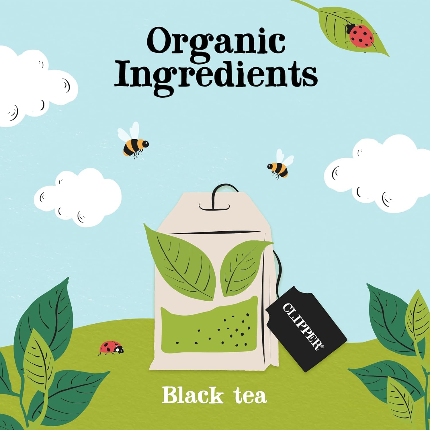 Clipper Organic Everyday Black Tea - 160 Teabags | Plastic Free | Fairtrade 3