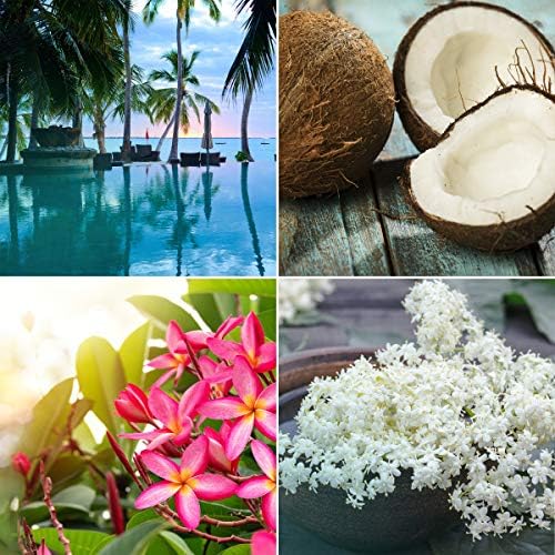 Glade - Exotic Tropical Blossoms Automatic Air Freshener Refill (269ml)
