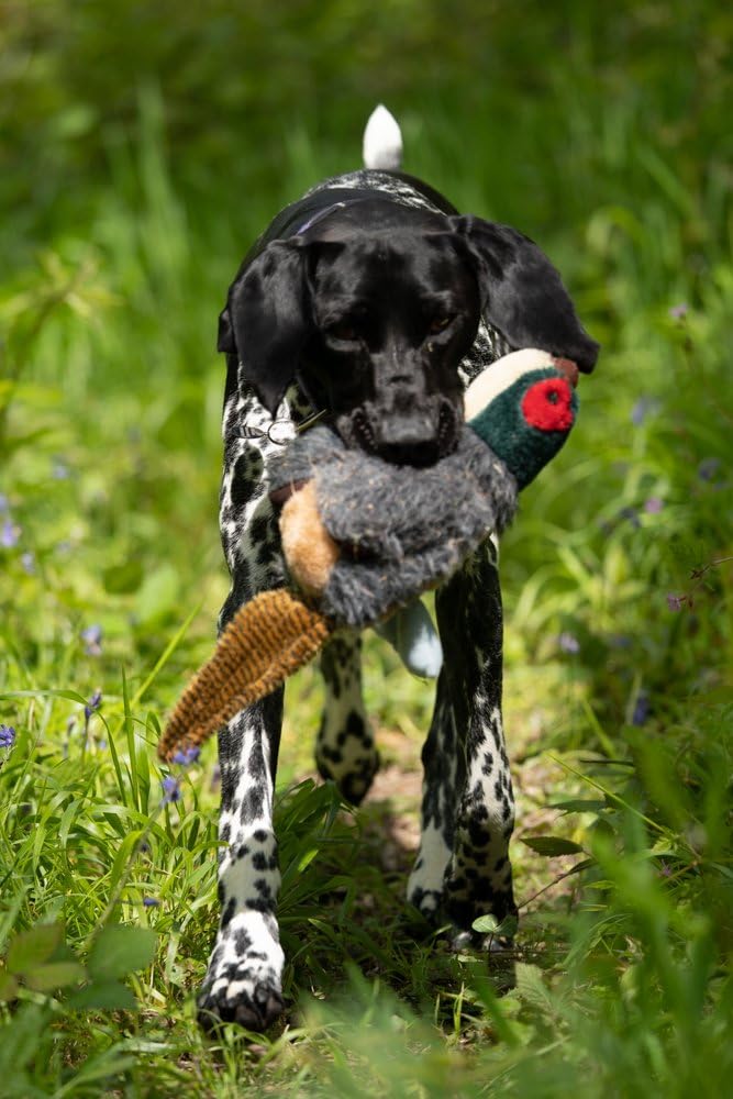 Petface Squeaky Pheasant Plush Dog Toy - Durable Play, Built-in Squeaker, Unscented 4