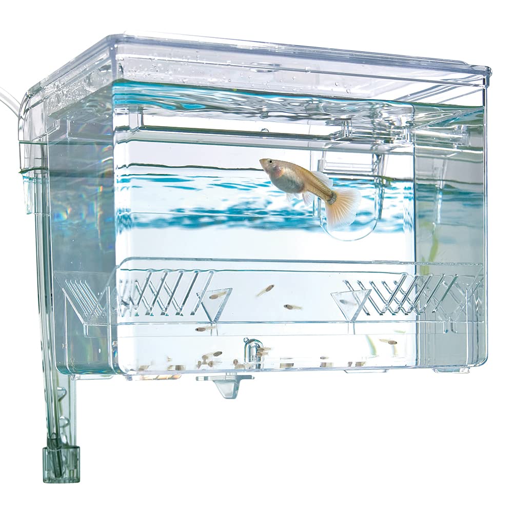 Fluval Hang-On Breeding Box - Medium Size, 1.2 Liters | Secure Isolation & Fry Separation 3