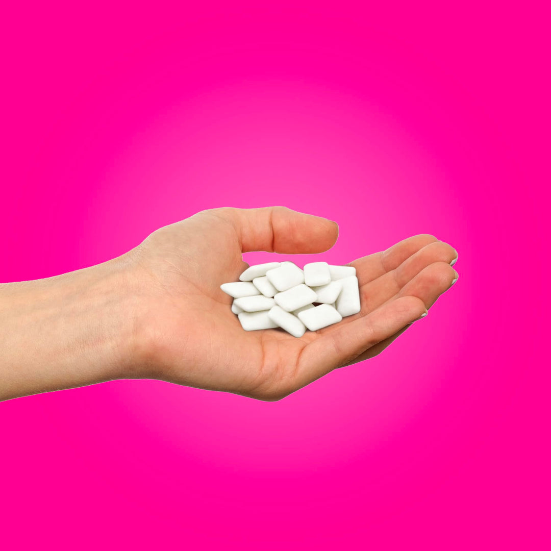 PUR - Pomegranate Mint Sugar-Free Chewing Gum (55 Pieces, Pack of 6)