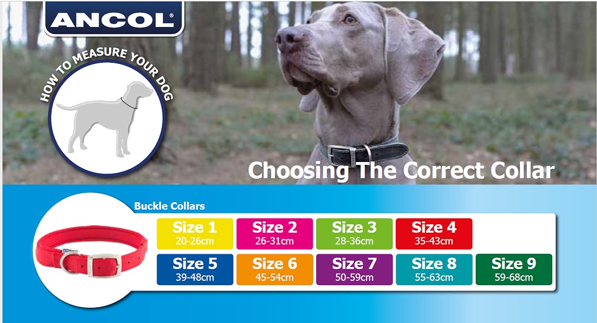 Ancol Timberwolf Round Dog Collar - Sable | Size 3 (28-36cm) | Soft Leather 4