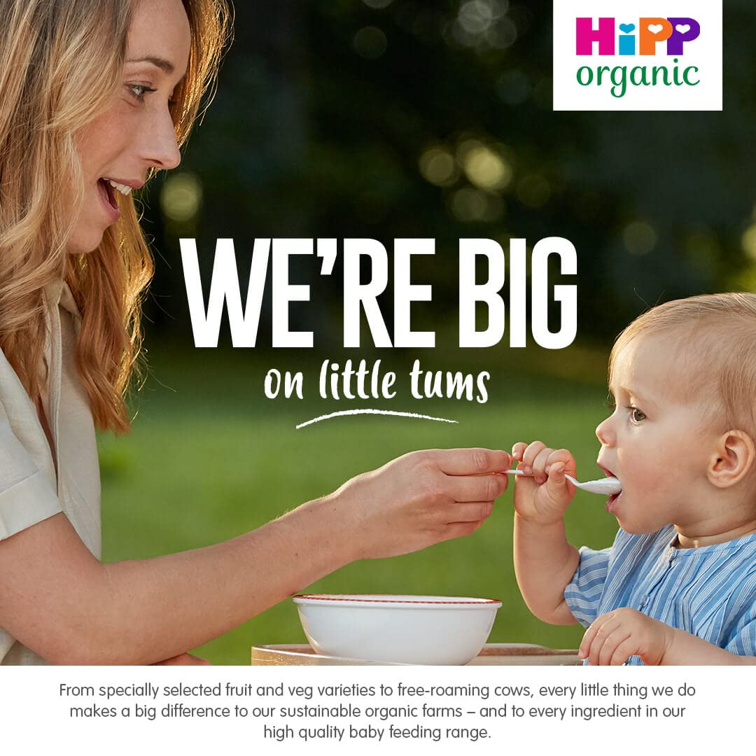 HiPP Organic Tasty Vegetable Risotto Baby Food Jar 6+ Months (6 x 125g)