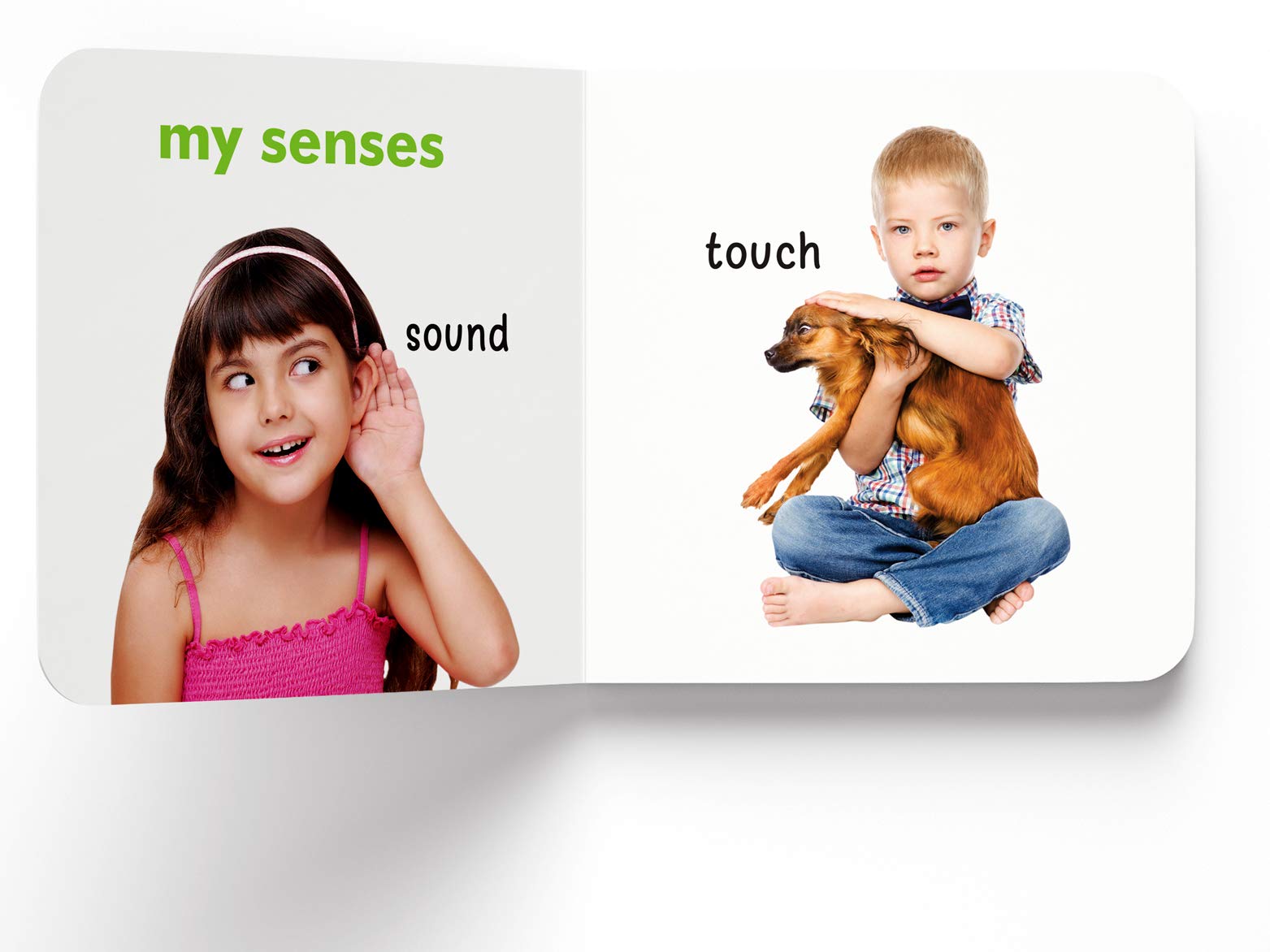 Wonder House My First Book Of About me - First Edition Board Book | English 6