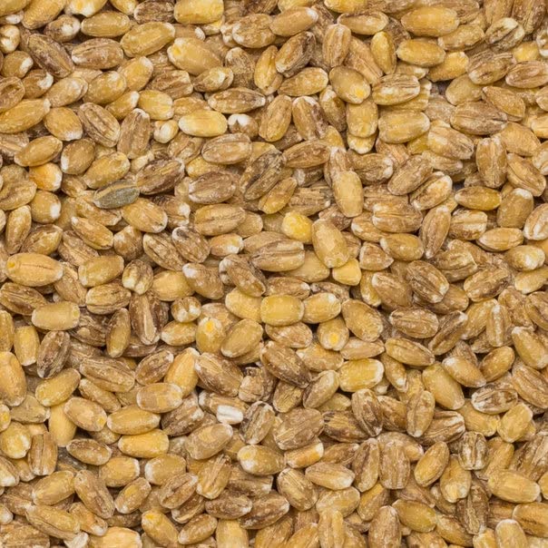 Wholefood Earth Pearl Barley 1 kg | GMO Free | High Fibre | Vegan | Recyclable Packaging 2