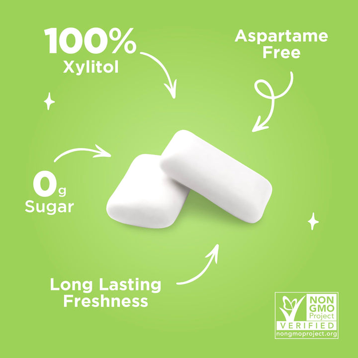 PUR - Coolmint Sugar-Free Chewing Gum (55 Pieces)
