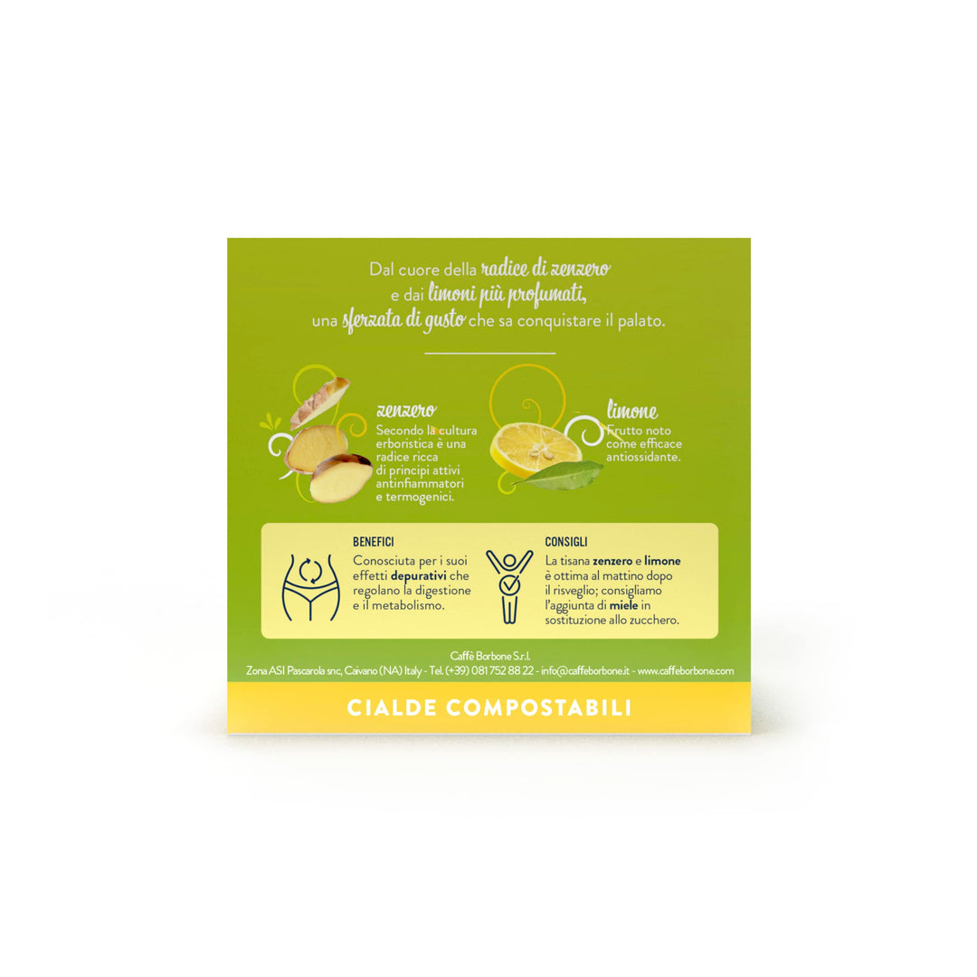 Caffè Borbone Ginger and Lemon Infusion - 72 Pods (4 Packs of 18) - ESE Compatible