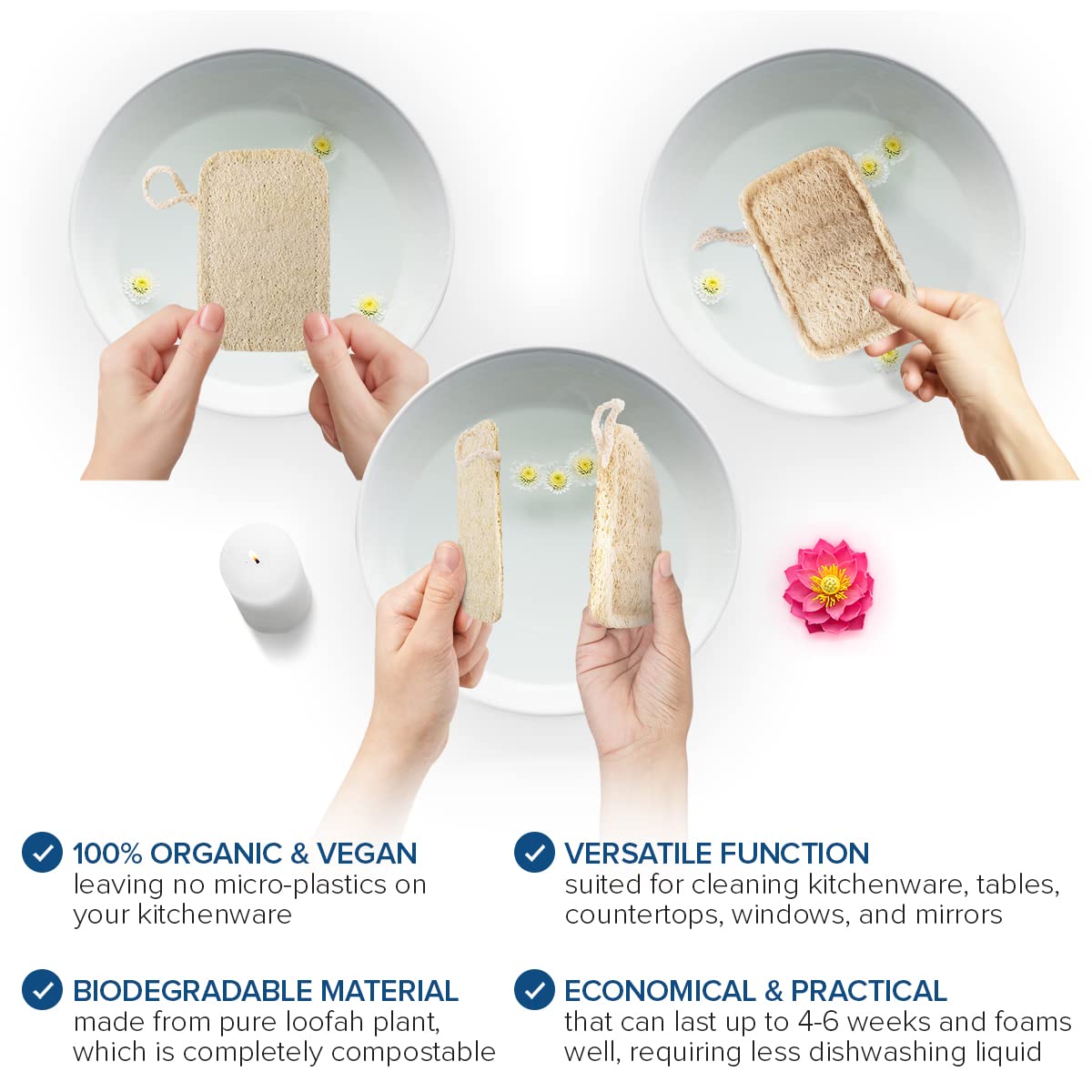 Joeji's Kitchen - Pack of 8 Natural Eco Dishwasher Sponges 2