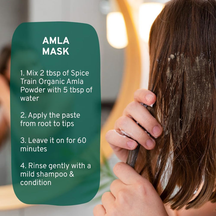 HANDPICK Amla Powder (500g) - Raw Indian Gooseberry Powder from Maharashtra | Non-GMO, Resealable Pouch