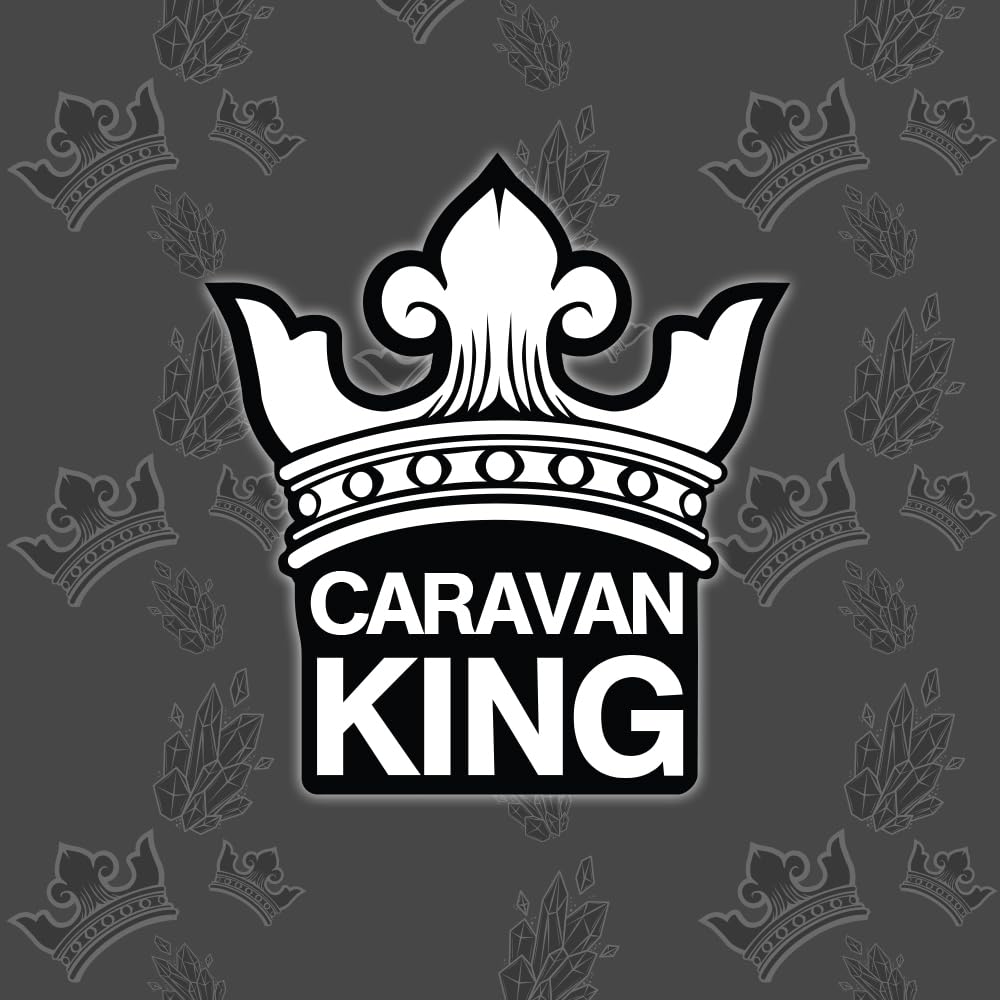 Caravan King Heavy-Duty Deck Cleaner - Algae & Mould Remover for Wood & Composite | 1L Liquid 3