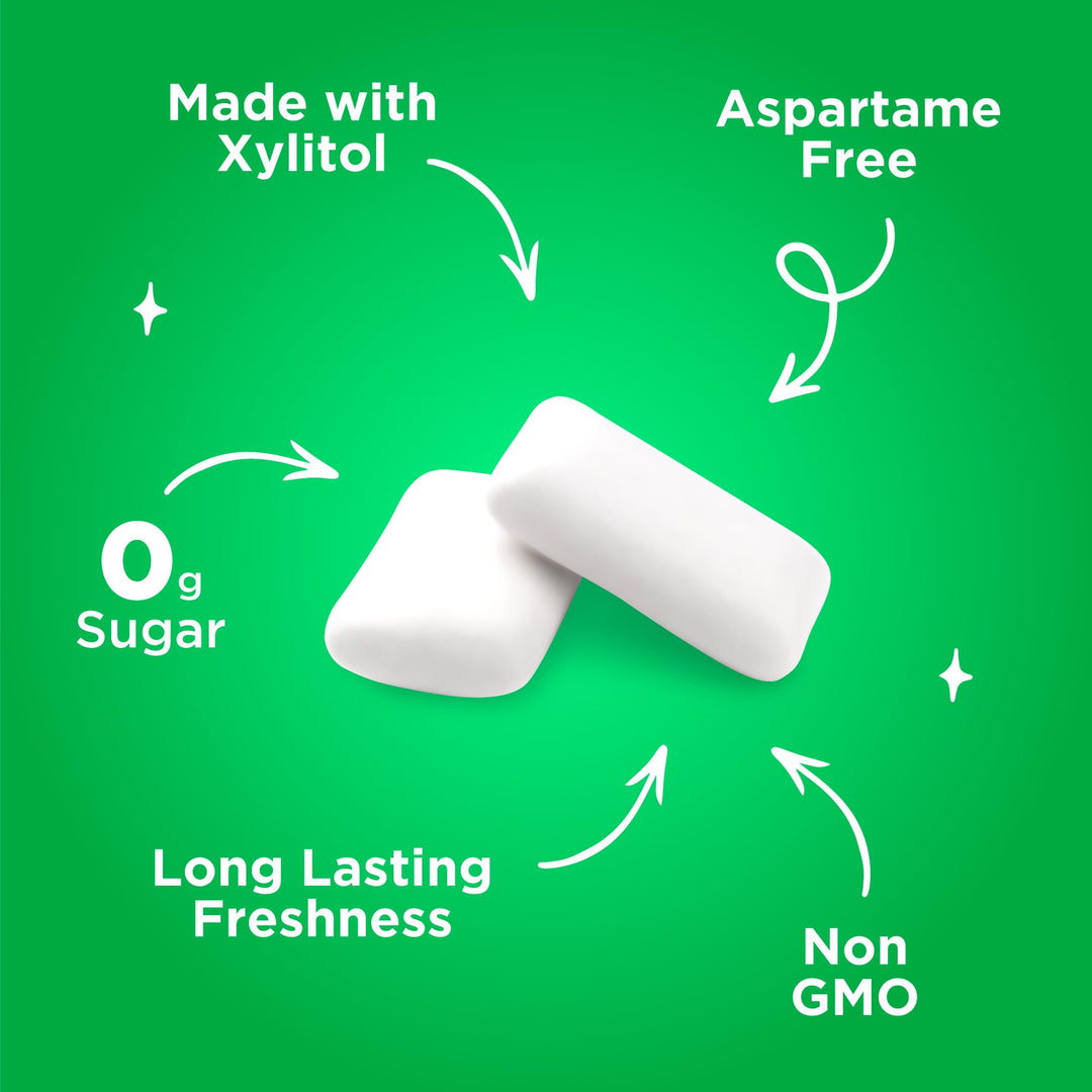 PUR - Spearmint Sugar-Free Chewing Gum (55 Pieces)