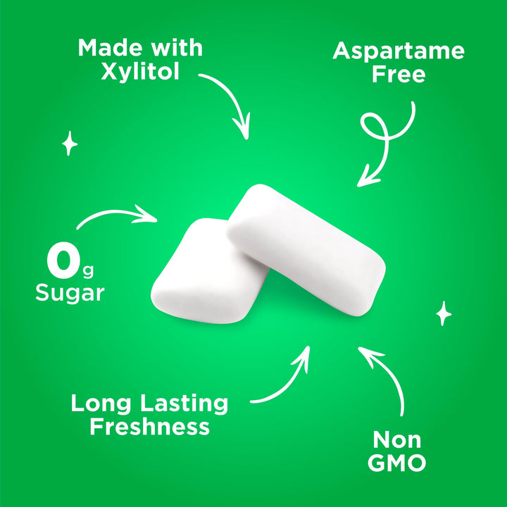 PUR - Spearmint Sugar-Free Chewing Gum (55 Pieces)