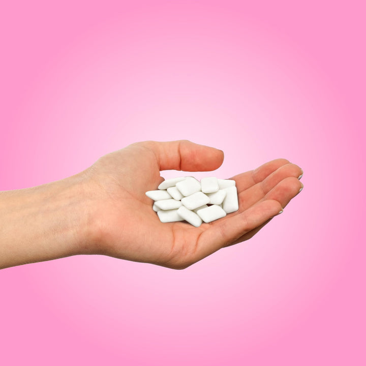 PUR - Natural Bubblegum Flavoured Sugar Free Chewing Gum (55 Pieces, Resealable Pack)