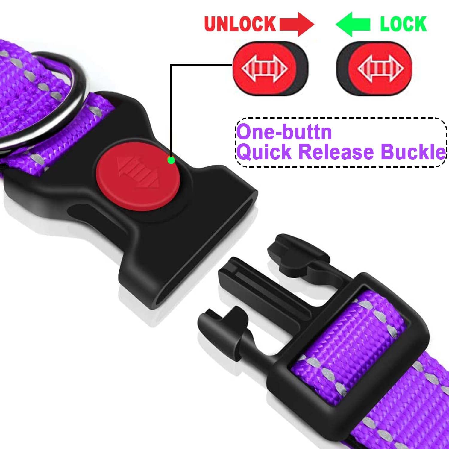 ATETEO Adjustable Dog Collar - Padded Neoprene, Reflective Straps, Quick Release Buckle, Purple, Size M 4