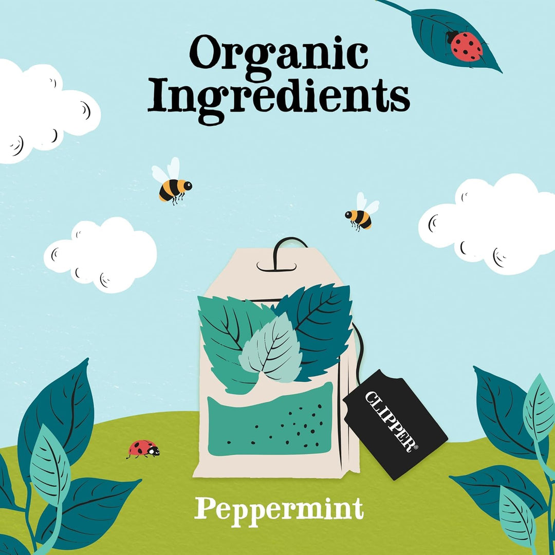 Clipper - Organic Peppermint Tea Bags | 250 Individually Wrapped Fairtrade Herbal Infusion