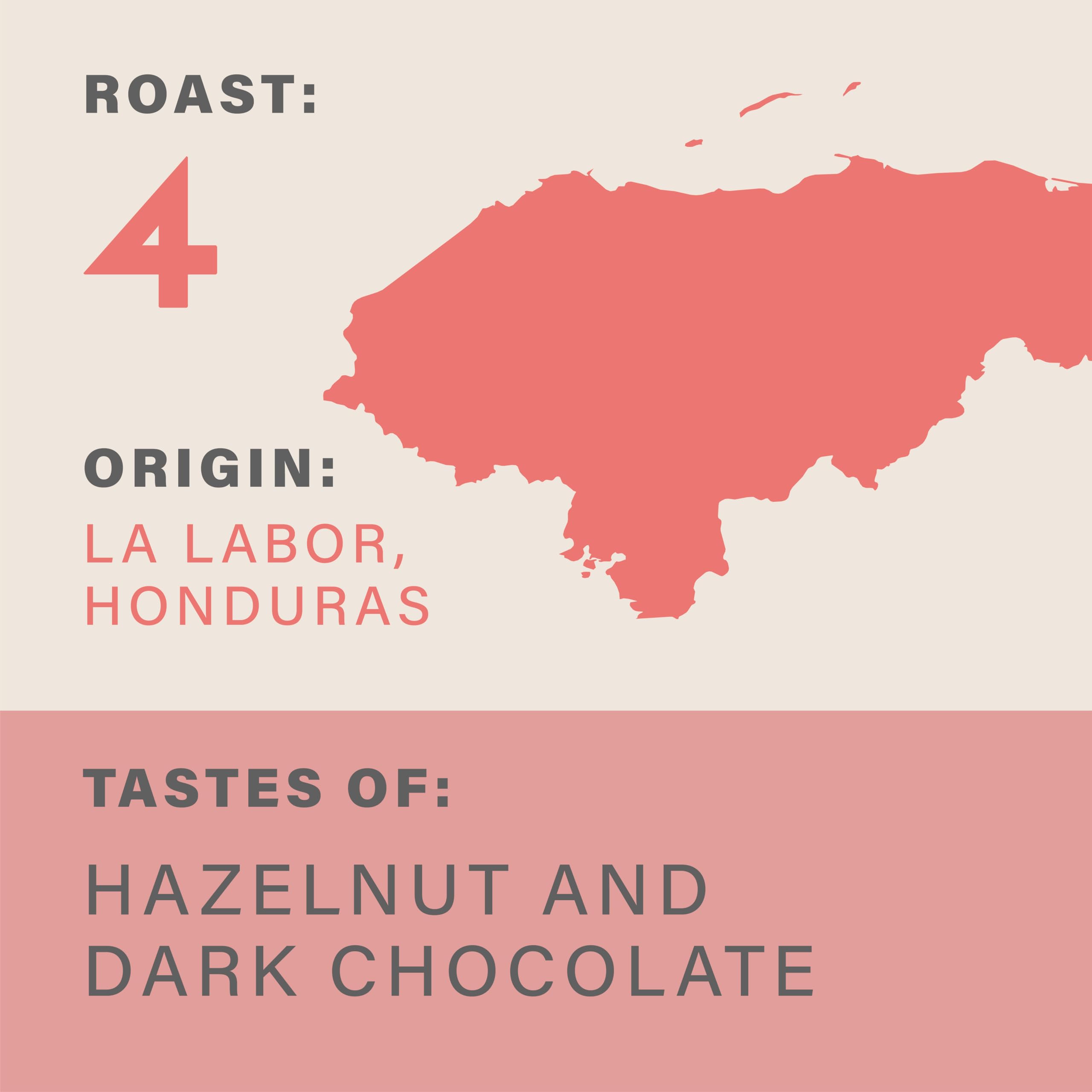 Grumpy Mule Honduras La Labor Organic Ground Coffee - Hazelnut & Dark Chocolate Notes | Roast 4 | 225 g 2