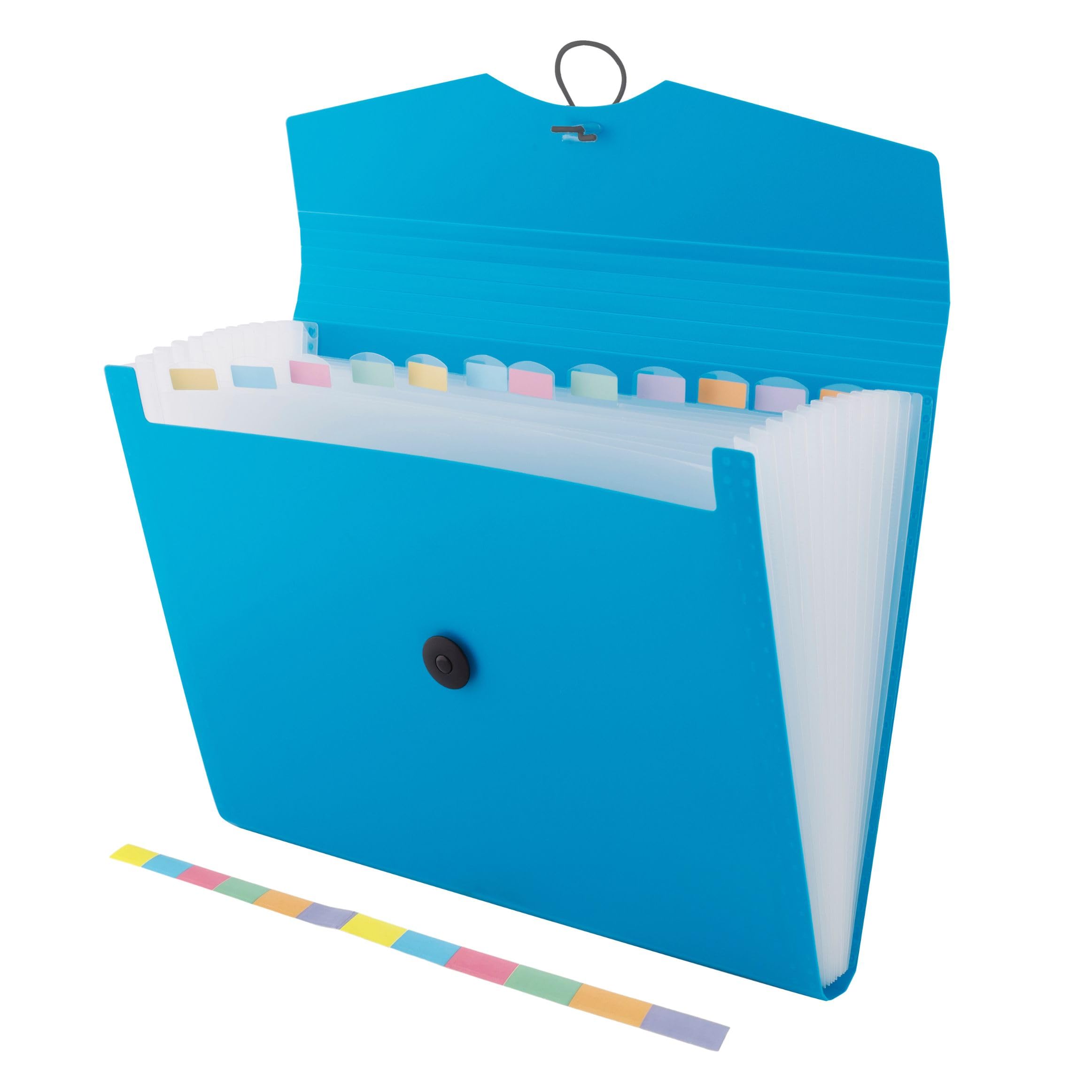 D.RECT Expandable File Organizer - 12 Pockets | A4 Size | Blue Polypropylene 1