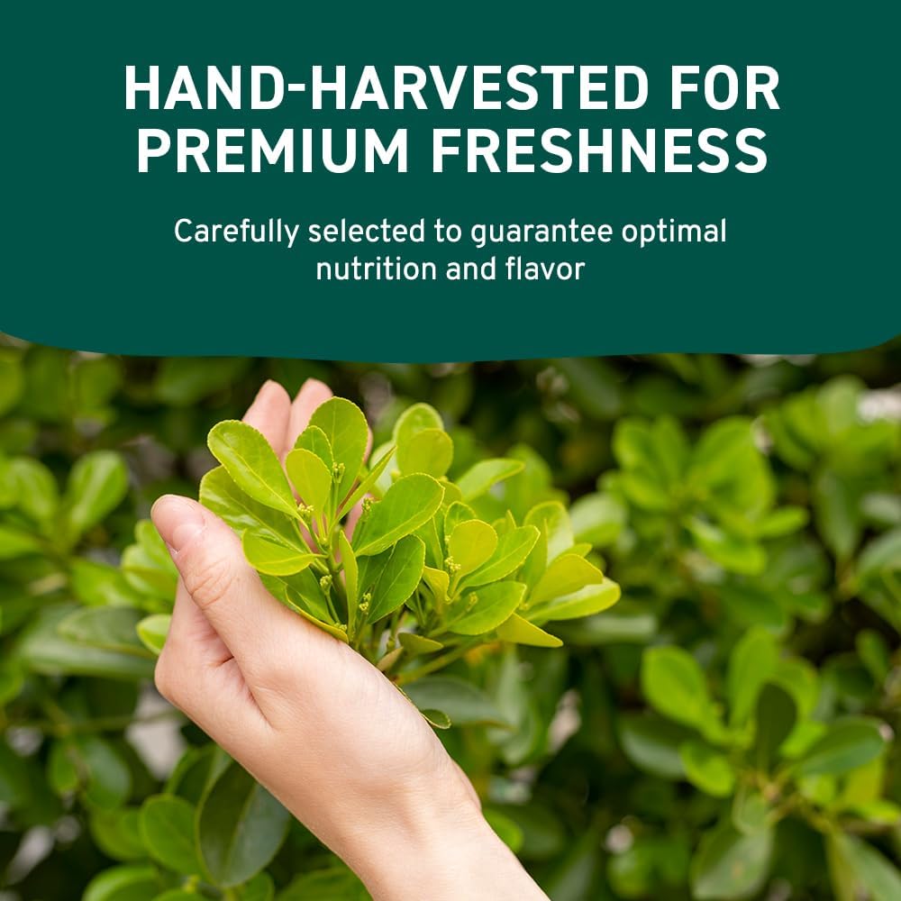 HANDPICK Moringa Powder (500g) - Pure Moringa Oleifera Leaves | Non-GMO, Gluten-Free | Resealable Pouch for Smoothies, Tea & Cooking