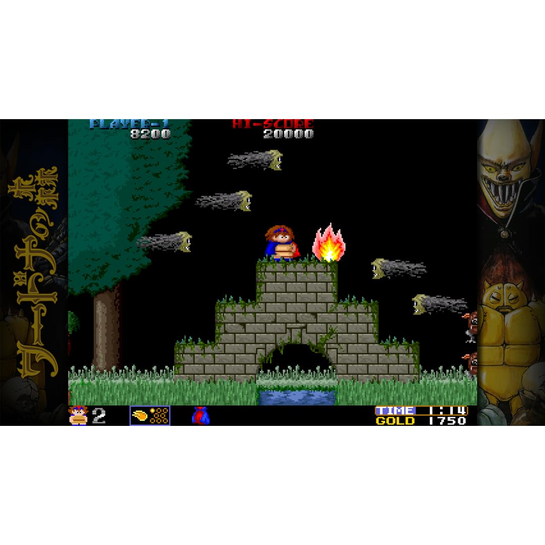 Toaplan Arcade Garage: Flying Fire Shark [Nintendo Switch] 8