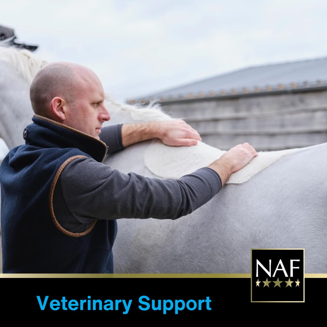 NAF Five Star Metazone Liquid - Natural Anti-Inflammatory Support | 1L | Equine Health 6