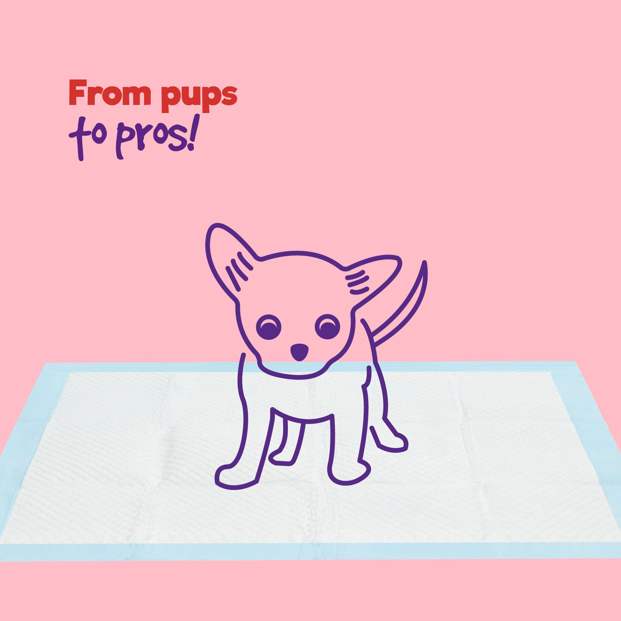 Petlicity Disposable Training Pads, Small (45x60cm), 50 Pack - Highly Absorbent Puppy Pads