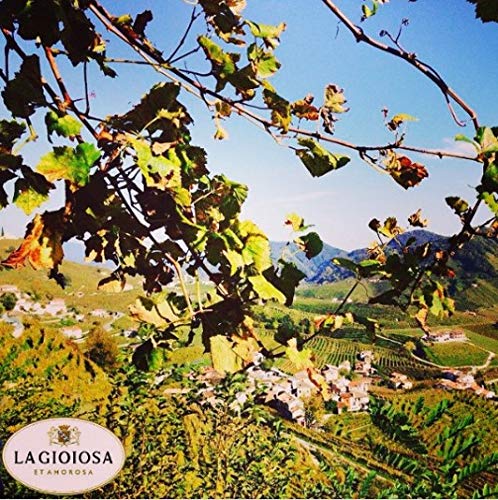 La Gioiosa Rosea Brut Sparkling Rosé - 75 cl | Dry | Italian Spumante 3