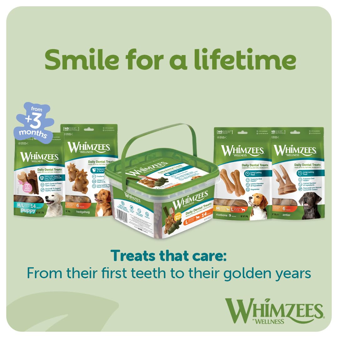 WHIMZEES Natural Dental Dog Chews - Large Alligator Shape | 6 Count | Prevents Plaque Up To 80% 6