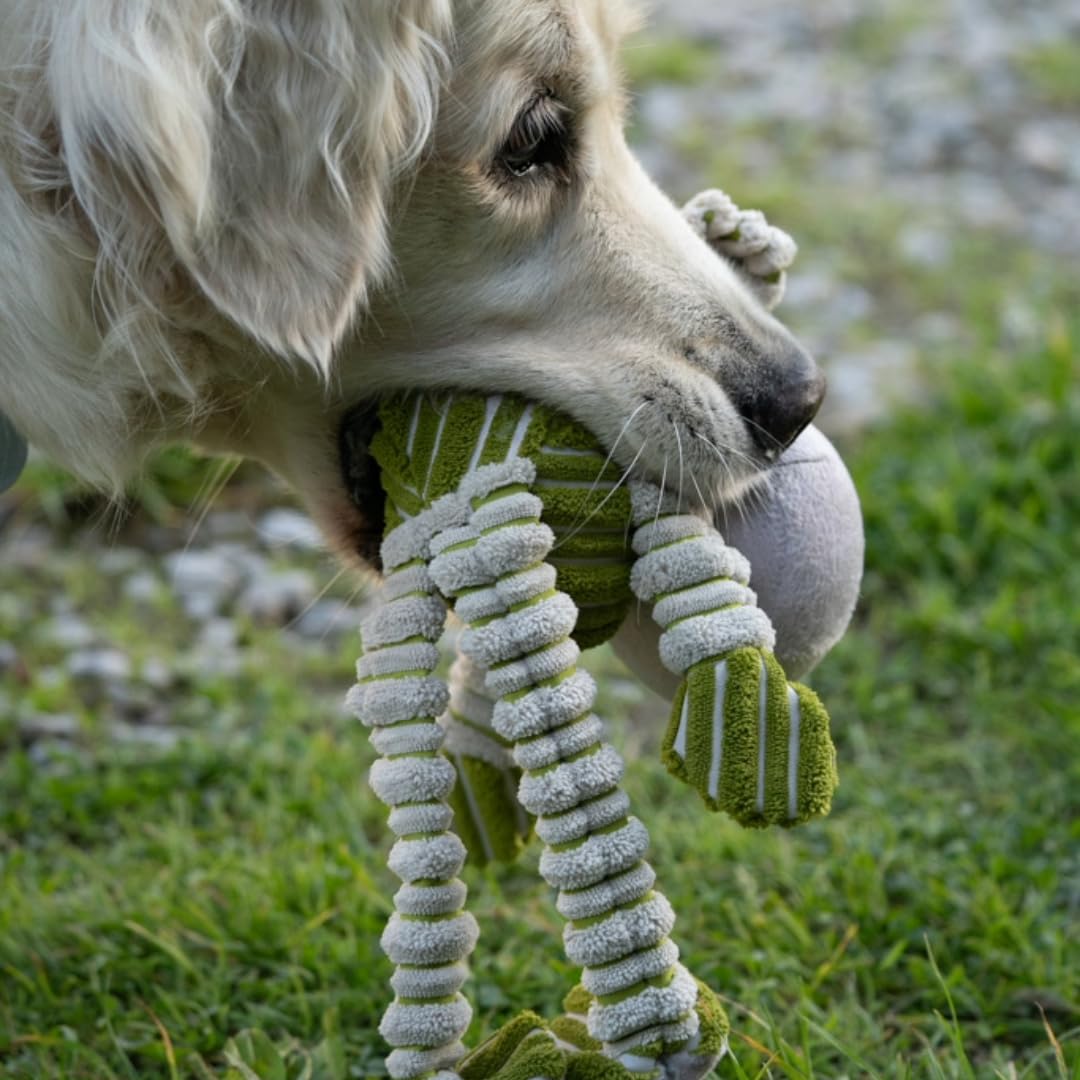 Petface Chubby Chimp Plush Dog Toy - Green | Soft & Durable Material | Lightweight & Portable 6
