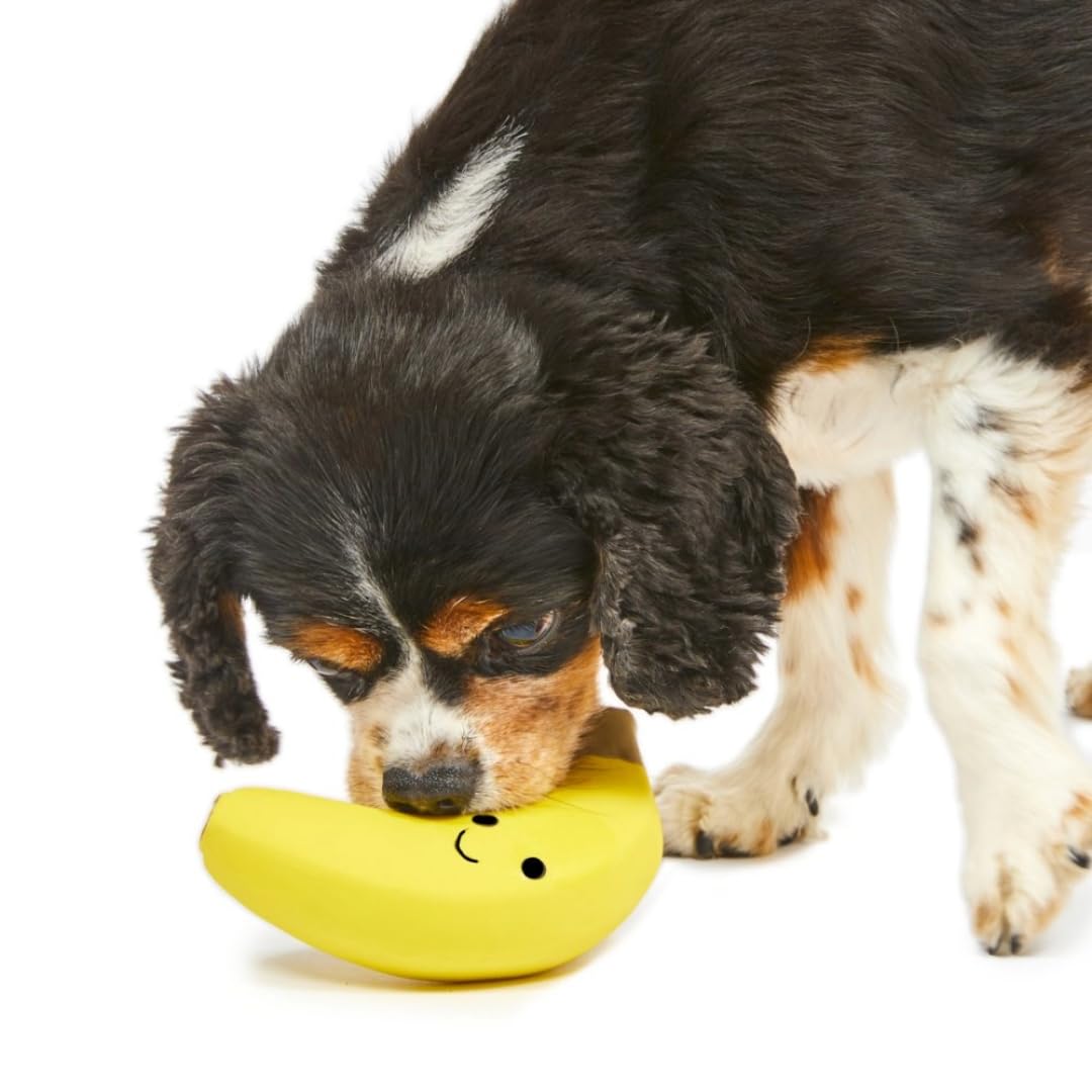 Petface Small Latex Banana Soft Chew Dog Toy - Durable Natural Rubber for Small Breeds 4
