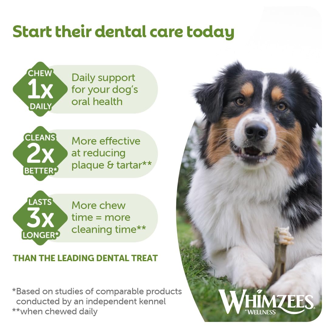 WHIMZEES Dental Sticks - XL Size, Variety Box, 14 Count | Triple Care Oral Health | Grain-Free 6