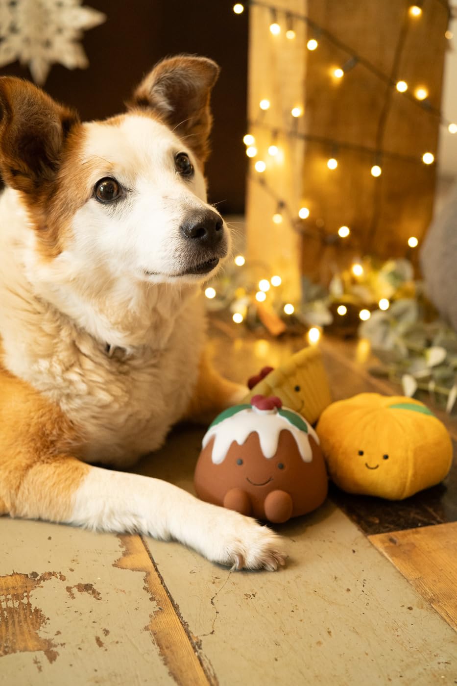 Petface Saski Satsuma Plush Christmas Dog Toy with Squeaker | Orange Polyester | 34g 6