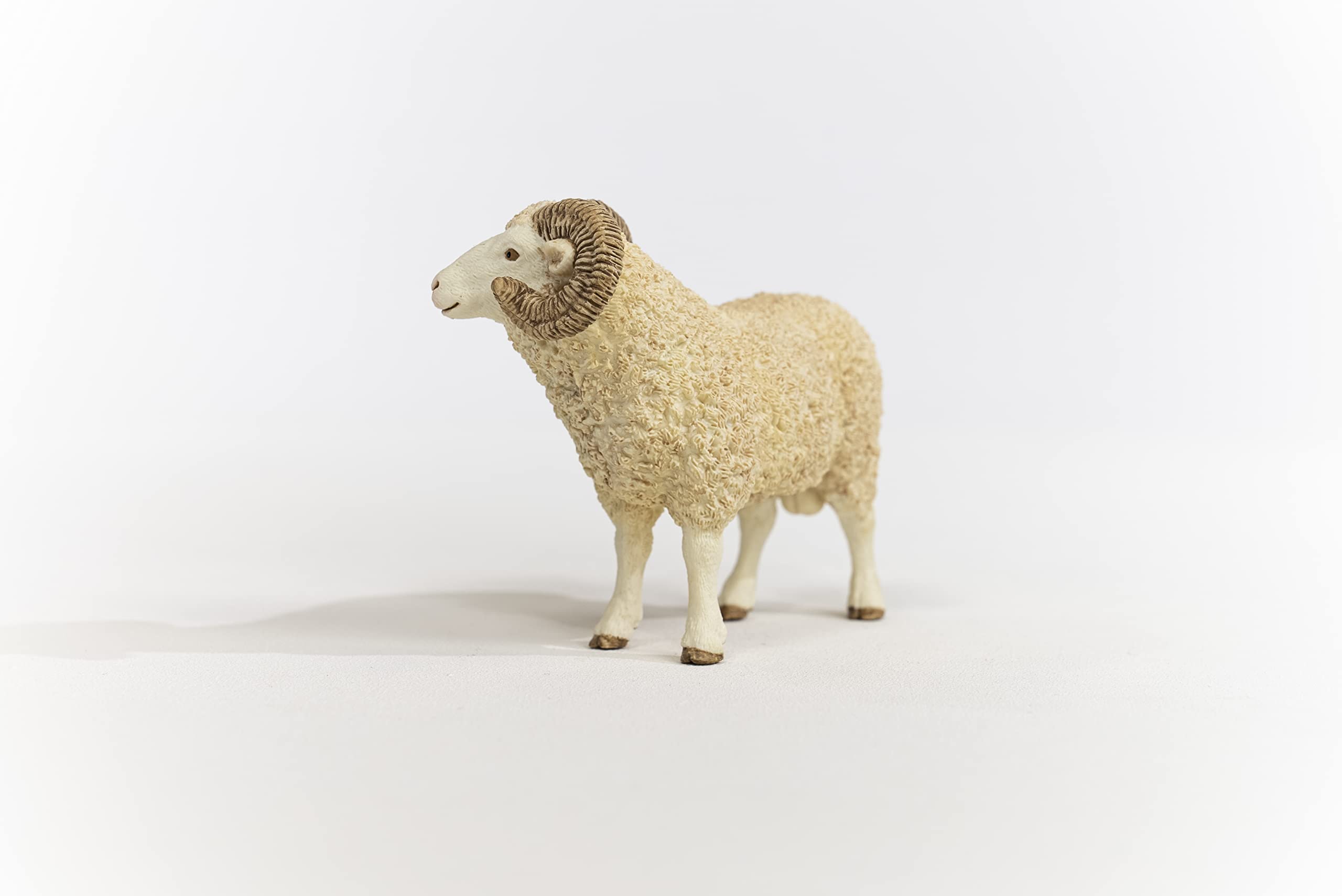 SCHLEICH 13937 Ram Farm World Figurine - Realistic Animal Play Figure for Kids 3-12 Years 5