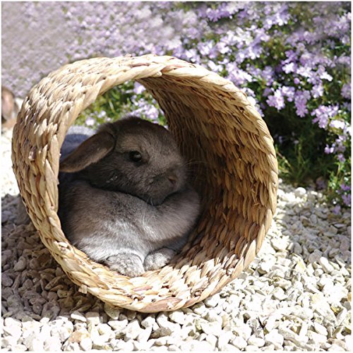 Rosewood Natural Water Hyacinth & Rattan Tunnel - Large Size for Small Animals | Deep Burrowing Base