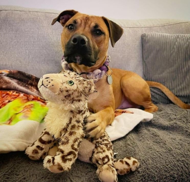 Animal Instinct Snow Mates Sophia Snow Leopard Squeaky Plush Dog Toy | Large Size | Lightweight