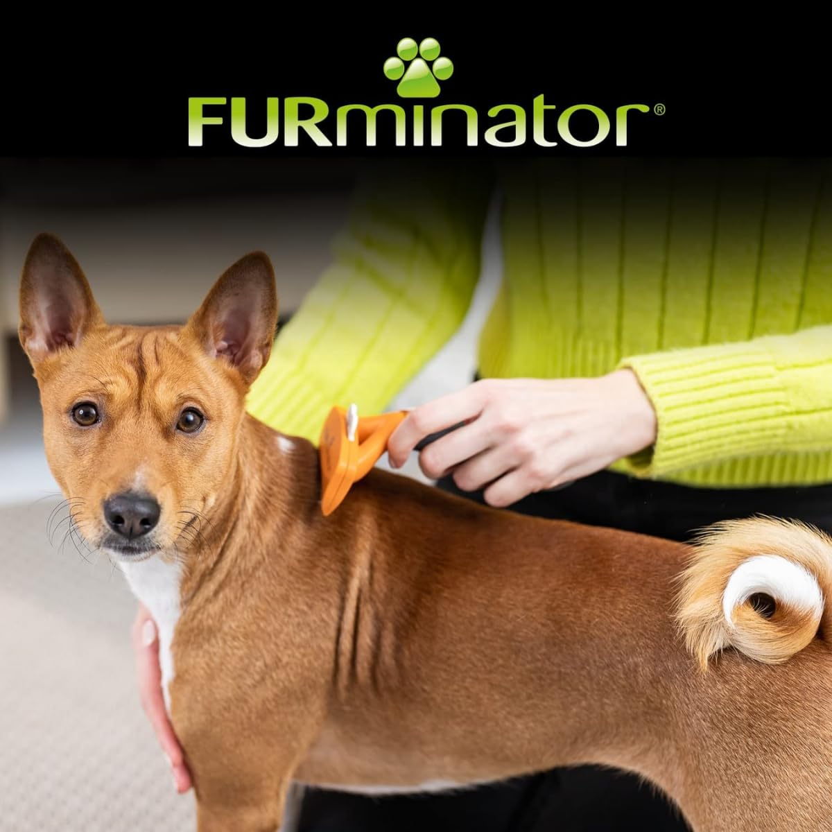 FURminator Undercoat deShedding Tool - Medium Short Hair Dogs (9-23 kg) | Orange/Grey | Size M 6