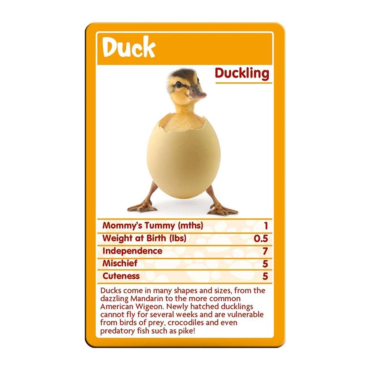 Top Trumps Baby Animals Classics Card Game - Educational Animal Facts for Kids 8+ 11
